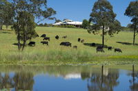 Book Nabiac Accommodation Vacations Mackay Tourism Mackay Tourism