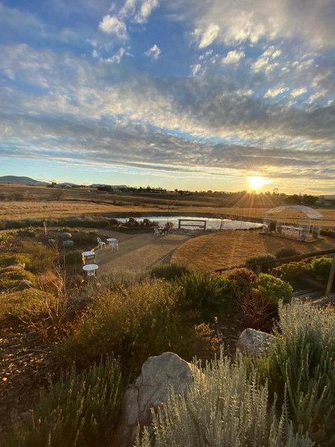 Carpe Diem Guesthouse - Mackay Tourism 3