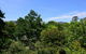 Cloudsong Chalet 3 Close To The Village Centre - thumb 4