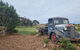 Coastal Glamp At Bellarine Estate Winery - thumb 3
