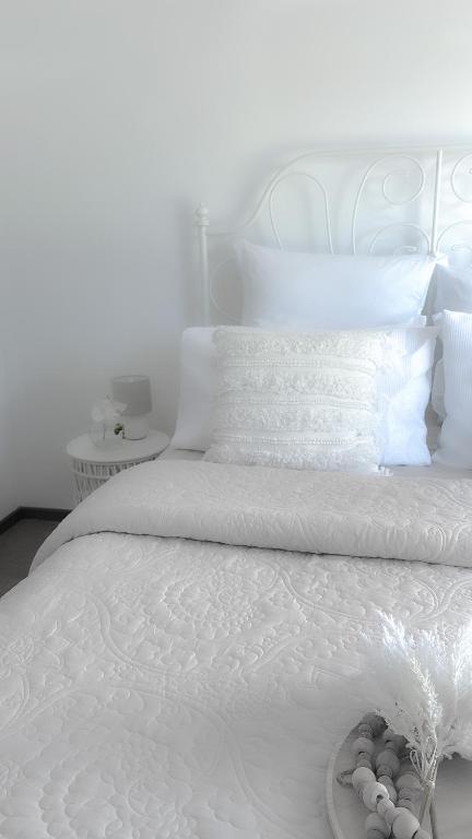 Coastal Springs - PET FRIENDLY & 200m To Beach! - Mackay Tourism 2
