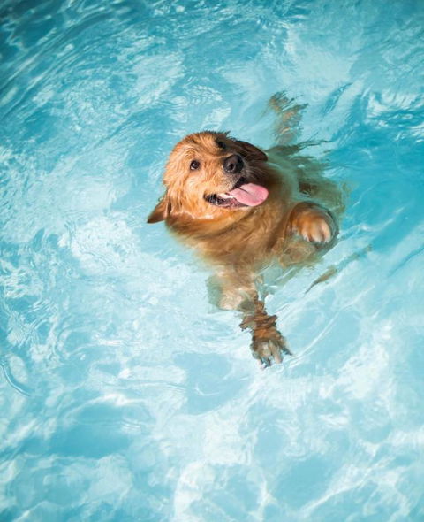 Coastal Springs - PET FRIENDLY & 200m To Beach! - Mackay Tourism 1