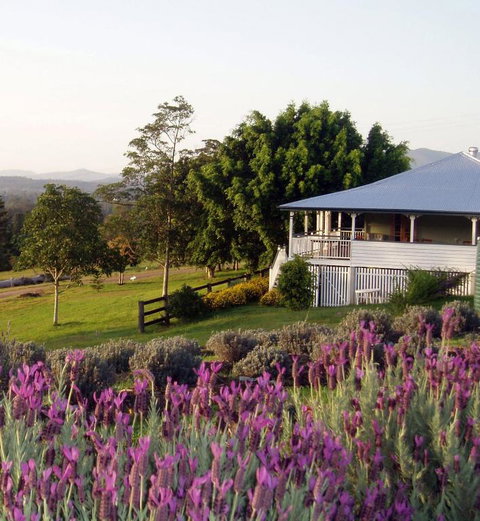 Dayboro - Blue Ridge Lavender Cottage - Mackay Tourism 4