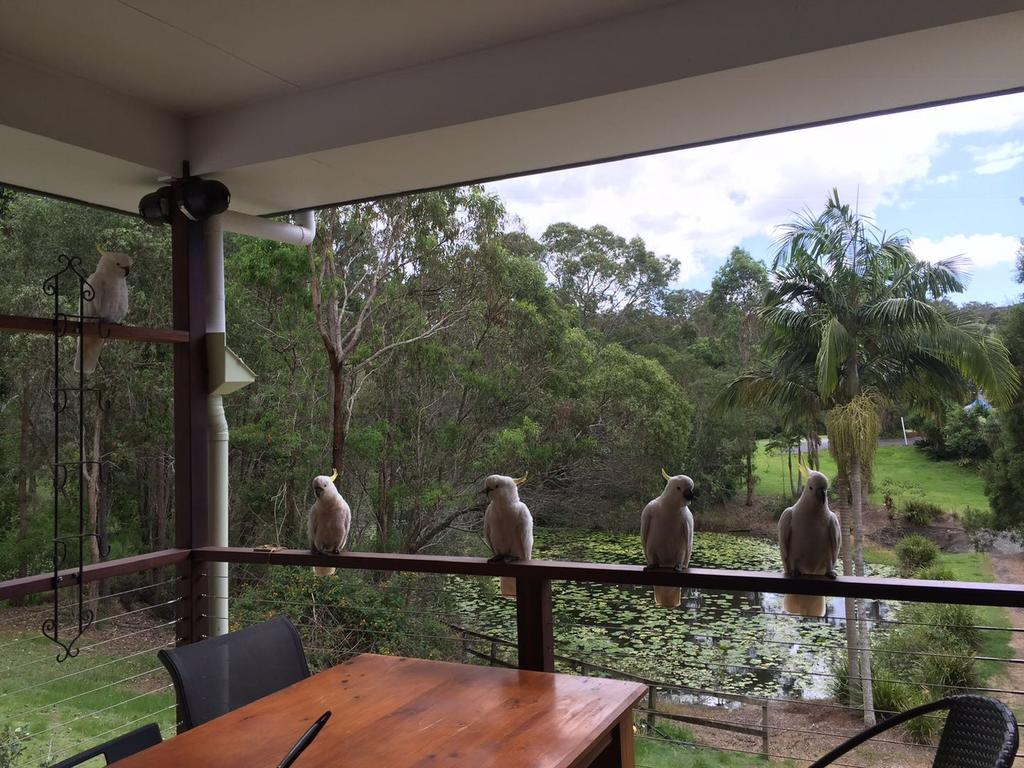 Upper Coomera QLD Mackay Tourism