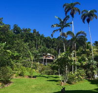 A Daintree Garden - Mackay Tourism