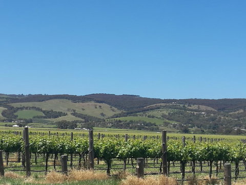 A Victor Harbour Retreat Aldinga Tony's Music Cottage - Mackay Tourism 3