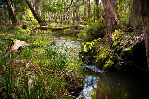 Ablac Studio - Mackay Tourism 1
