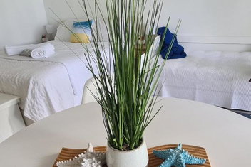 Dolphin Heads - Resort Unit - Absolute Beachfront! - Whitsunday Getaway! with Mackay Tourism