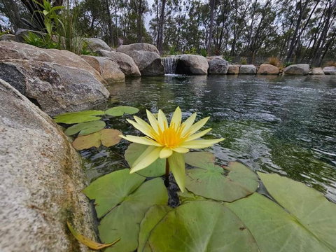 Eureka Station Camping Retreat - Mackay Tourism 4