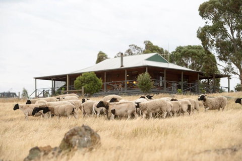 Gilgraves Vineyard Farmstay - Mackay Tourism 0