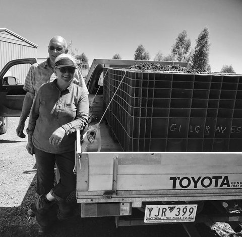 Gilgraves Vineyard Farmstay - Mackay Tourism 4