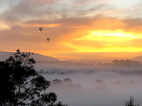 Honeycomb Hill Of Yarra Valley - Mackay Tourism 1