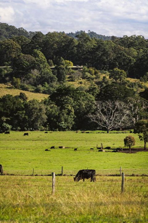 Huntingdon House By Tiny Away - Mackay Tourism 2