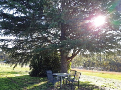 Indigo Vineyard Farmstay - Mackay Tourism 2