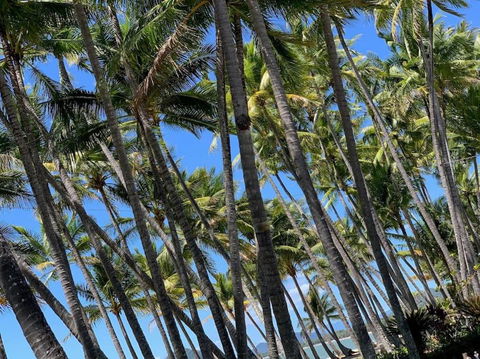 IMPORTANT MESSAGE This Property Is Not Currently Available For Holiday Letting - Mackay Tourism 1