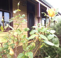 Albion Cottage - Mackay Tourism