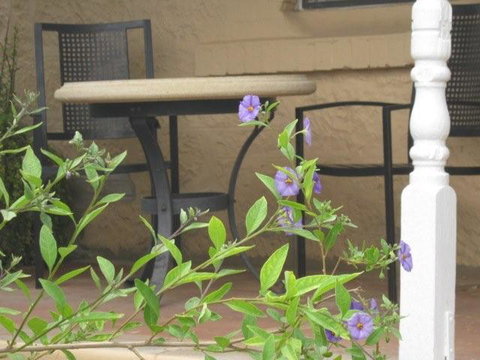 Amalie Cottage Waikerie - Mackay Tourism 0