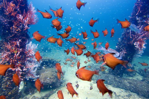 API Busselton Seaside Escape Apartments - Mackay Tourism 1