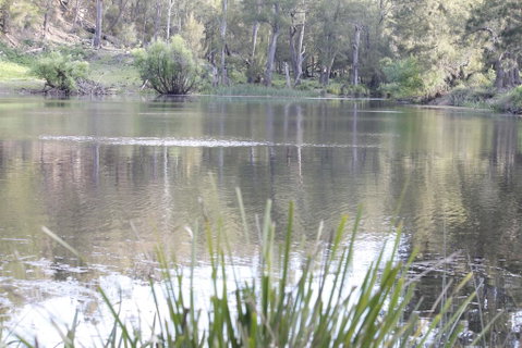 Arcadian Cabin - Southern Highlands River Retreat - Mackay Tourism 0