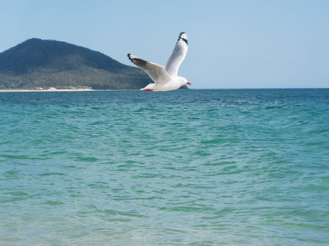 Architectural Design On The Beach - Mackay Tourism 1