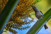 Book Karumba Accommodation Vacations Mackay Tourism Mackay Tourism