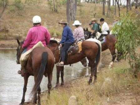 Misty Mountain Retreat By Tiny Away - Mackay Tourism 2