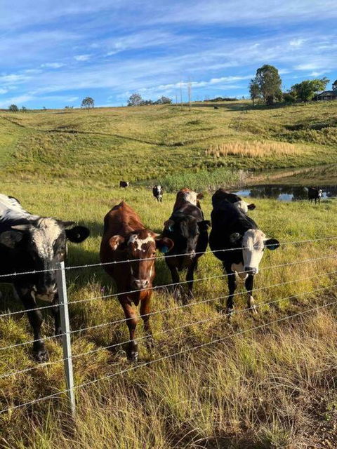 Modern Farmhouse - Mackay Tourism 3