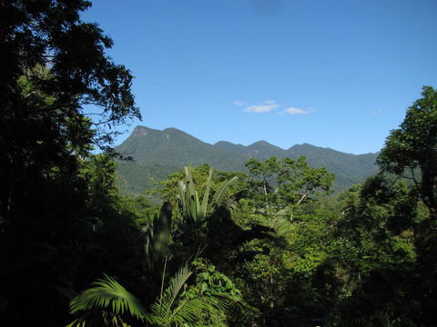 Mossman Gorge Bed And Breakfast - Mackay Tourism 0