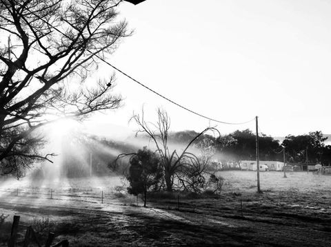 Mountview Wines And Accommodation - Mackay Tourism 1