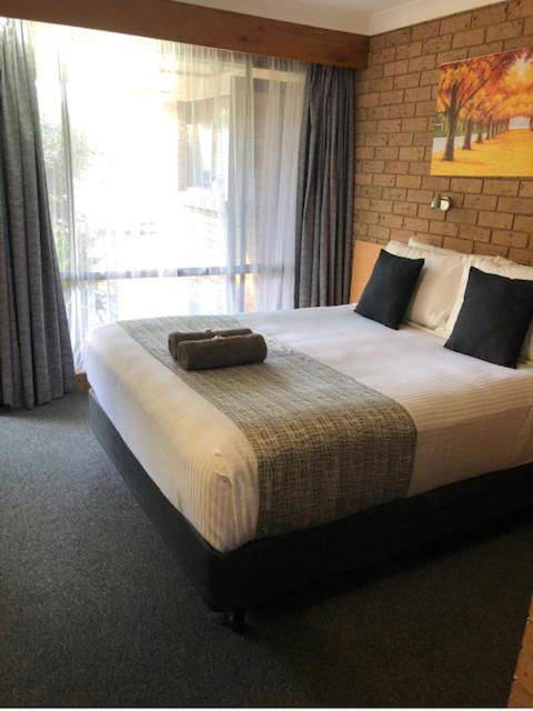 Muswellbrook Motor Inn - Mackay Tourism 2