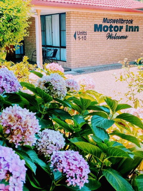 Muswellbrook Motor Inn - Mackay Tourism 0