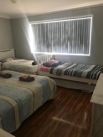 Mystic Blue And Green Meadow - Mackay Tourism 3