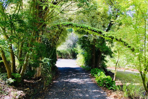 Nagoondie Studio - Mackay Tourism 1