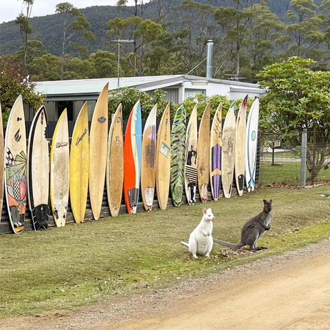NOFOMO AT ADVENTURE BAY - Mackay Tourism 0