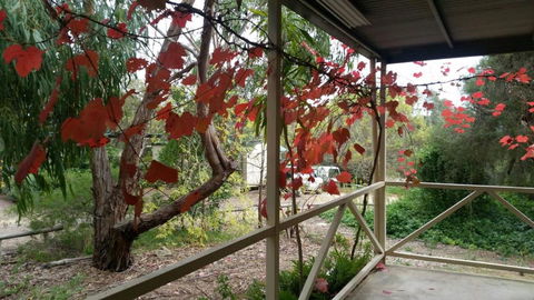 Padthaway Caravan Park - Mackay Tourism 1