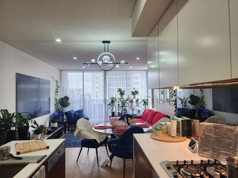 Parramatta Shared Apartment,gym,swimming Pool - Mackay Tourism 3