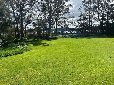 Peacock - Mackay Tourism 0