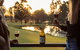 Palmers Lane Estate Hunter Valley - thumb 3