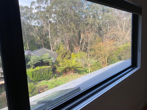 Pet And Friends B&B - Mackay Tourism 3