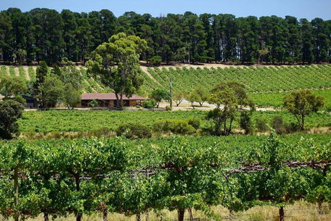Picturesque Vineyard Farmhouse Nestled On 40-Acres - Mackay Tourism 0