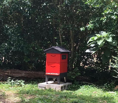 PK Illusions - Mackay Tourism 3