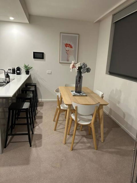 Plush Apartment On Mort - Mackay Tourism 2