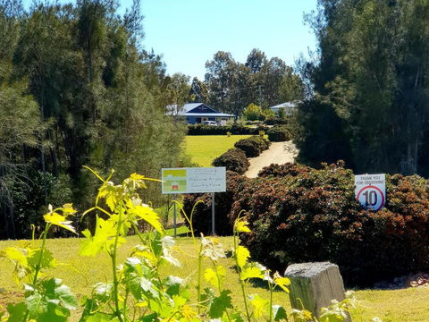 Red Door Collective - RDC Vineyard Estate, Luxury Adult Only Stay - Mackay Tourism 0