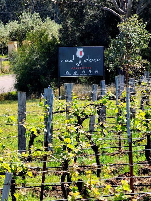 Red Door Collective - RDC Vineyard Estate, Luxury Adult Only Stay - Mackay Tourism 1