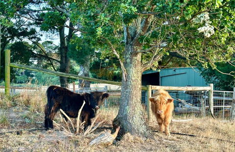 Private, Secluded Farm Retreat - Mackay Tourism 3