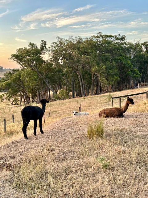 Private, Secluded Farm Retreat - Mackay Tourism 2