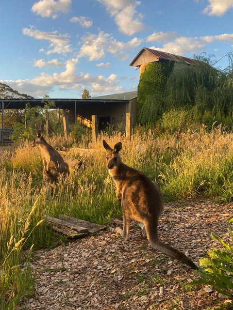 Private Country Escape With Valley Views - Mackay Tourism 2
