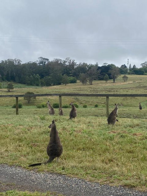 Private Country Escape With Valley Views - Mackay Tourism 1