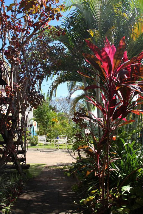 Asylum Cairns Hostel - Mackay Tourism 0