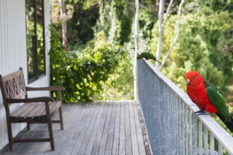 At Riverside - Mackay Tourism 3
